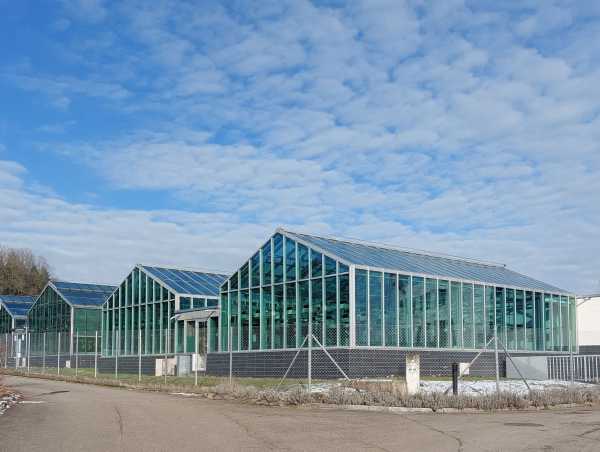 Greenhouse Lindau Eschikon